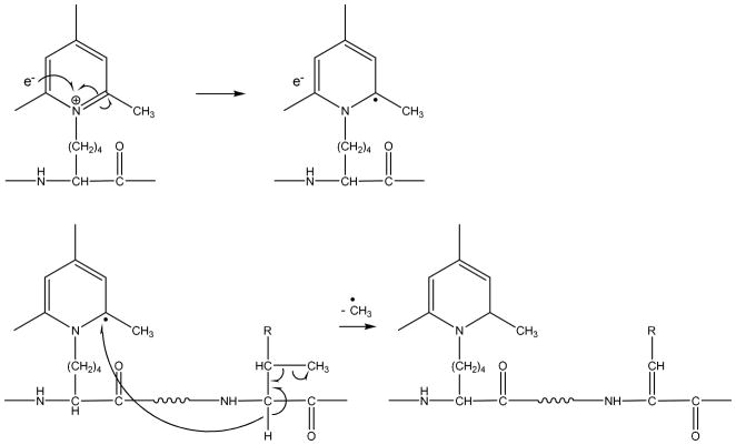 Scheme 6