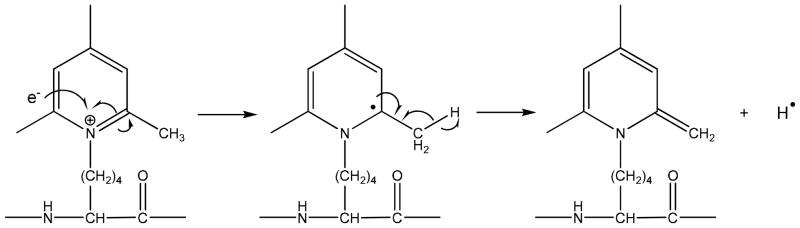 Scheme 2