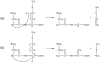 Scheme 7