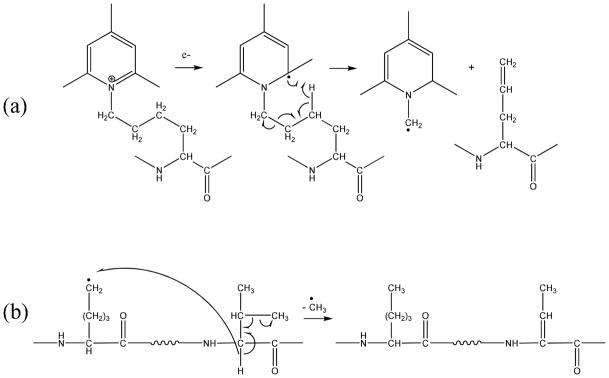 Scheme 5