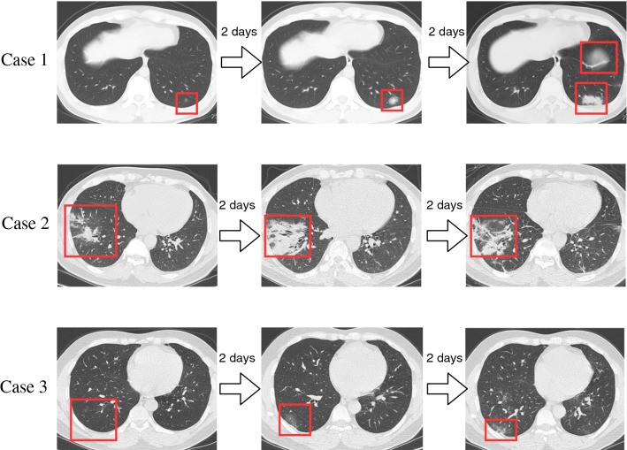 Fig. 3