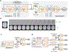 Fig. 4.