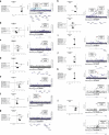 Extended Data Fig. 5