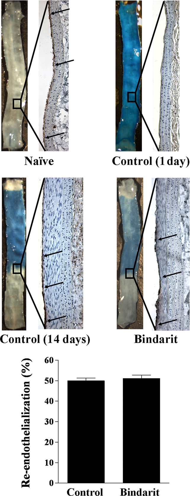 Figure 4