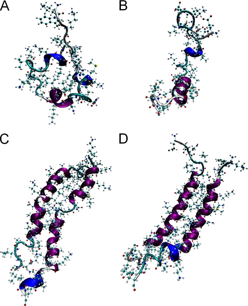 FIGURE 4.