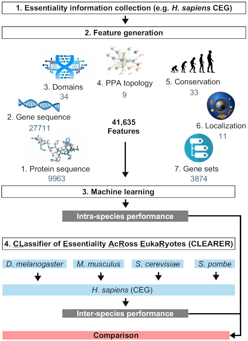 Figure 3.