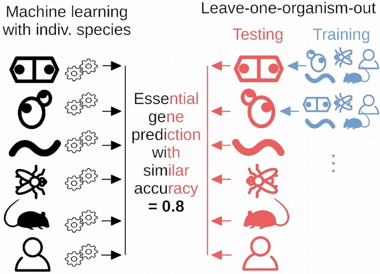 Graphical Abstract