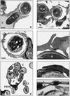 FIG. 6