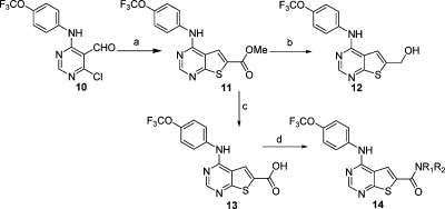 Scheme 2