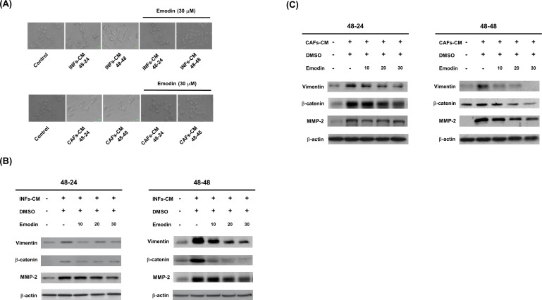 Fig 5