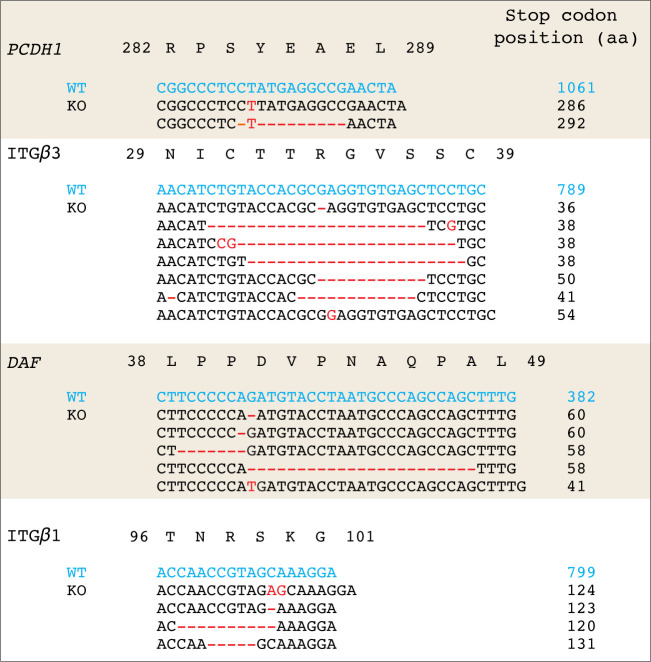 Figure 1—figure supplement 1.