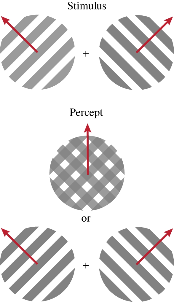 Figure 3.