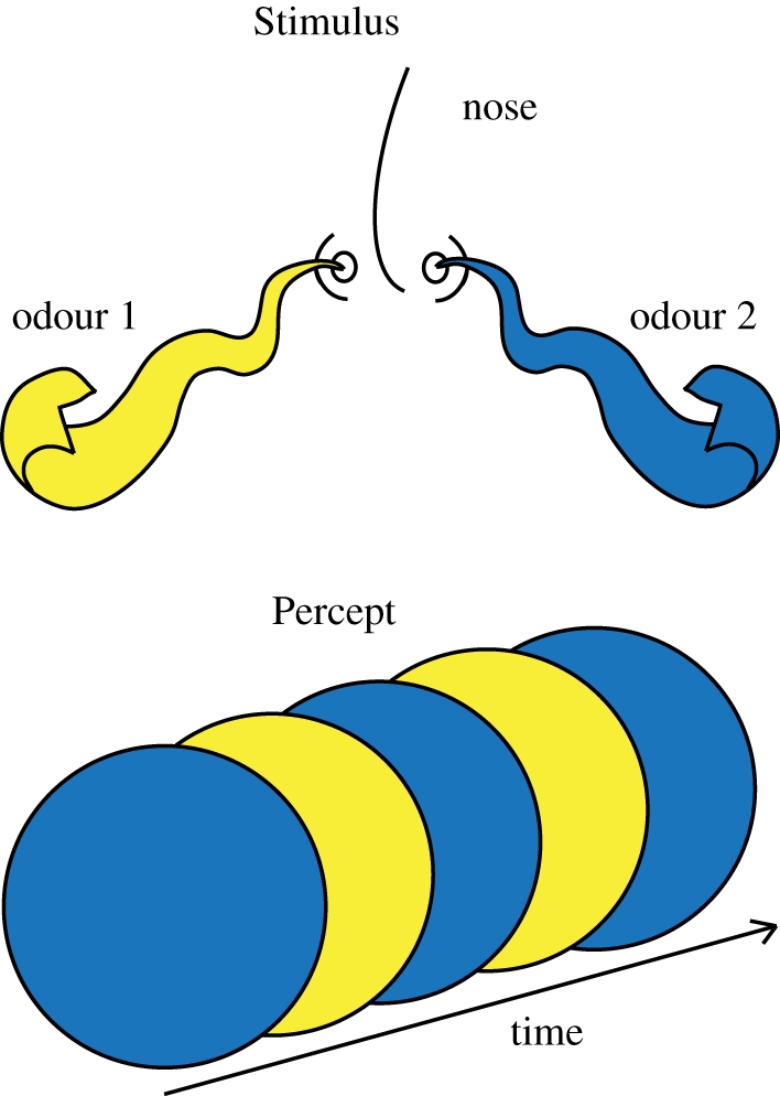 Figure 7.