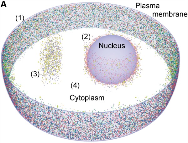 Fig. 4.