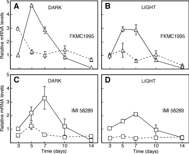 Fig 5