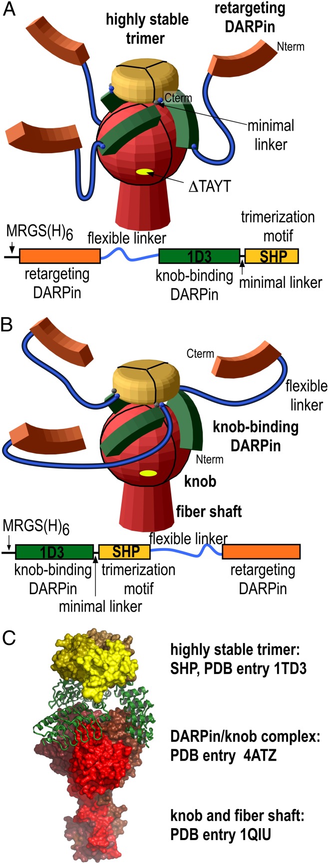 Fig. 2.