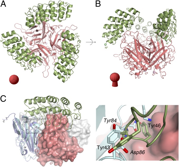 Fig. 1.