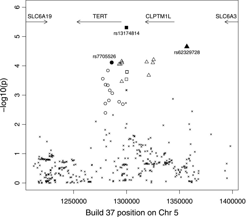 Fig. 1