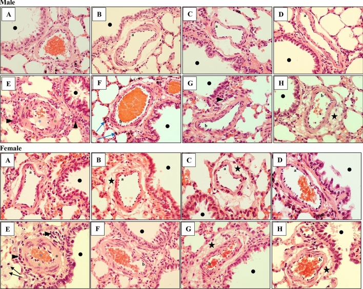 Fig. 6