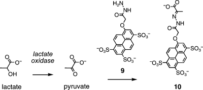 Scheme 2