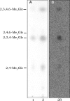 FIGURE 9.