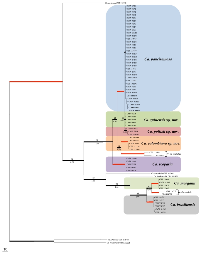 Fig. 1.