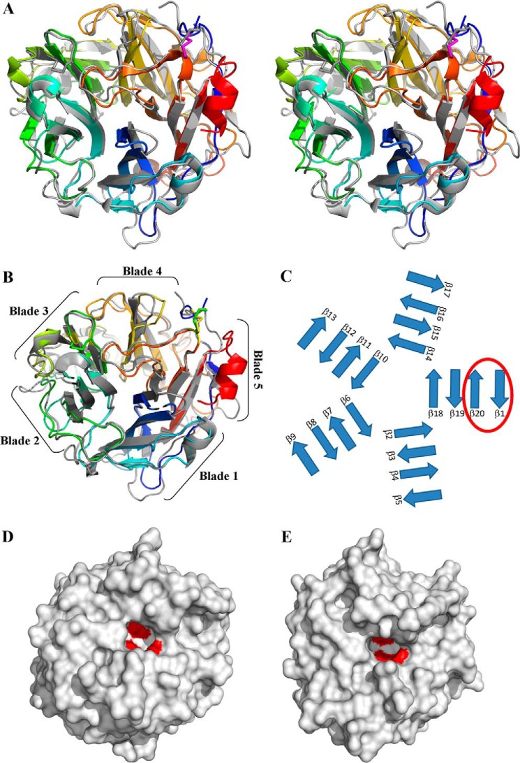 FIGURE 2.