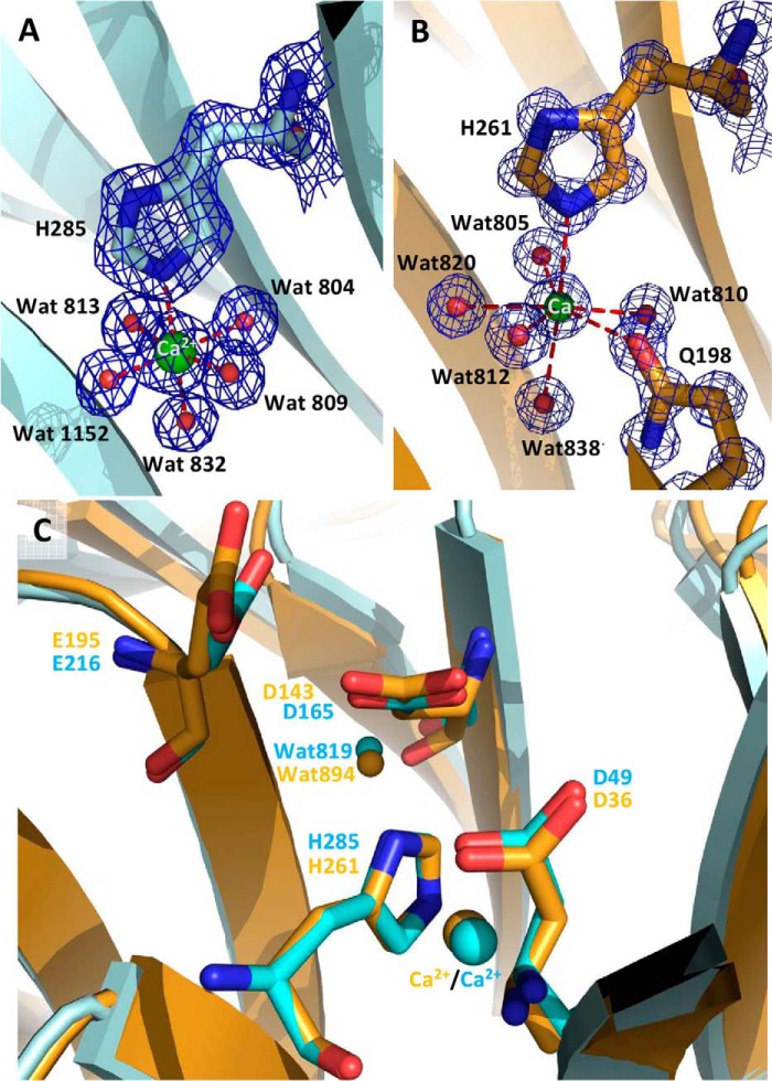 FIGURE 3.