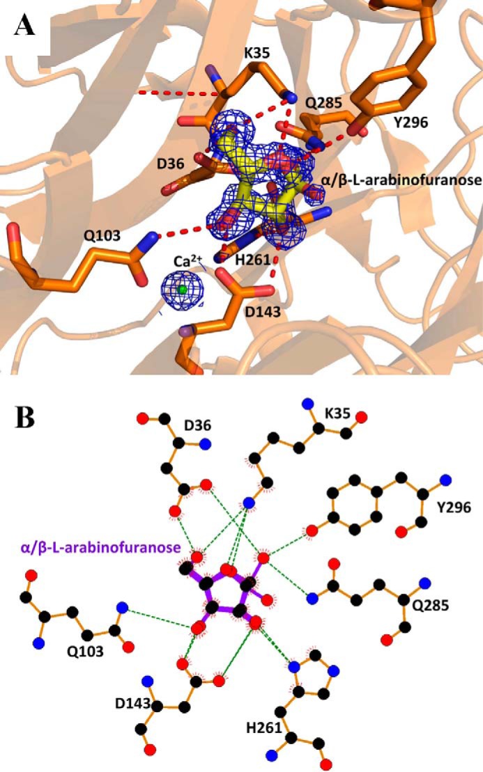 FIGURE 4.