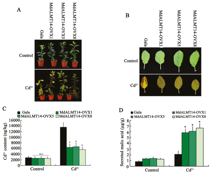 Fig. 3.