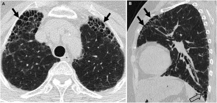 Fig. 8