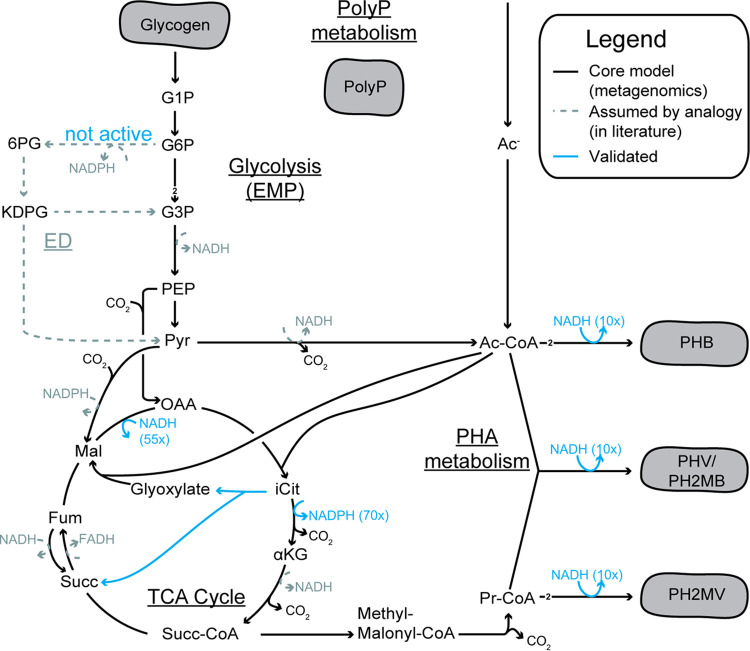 FIG 2