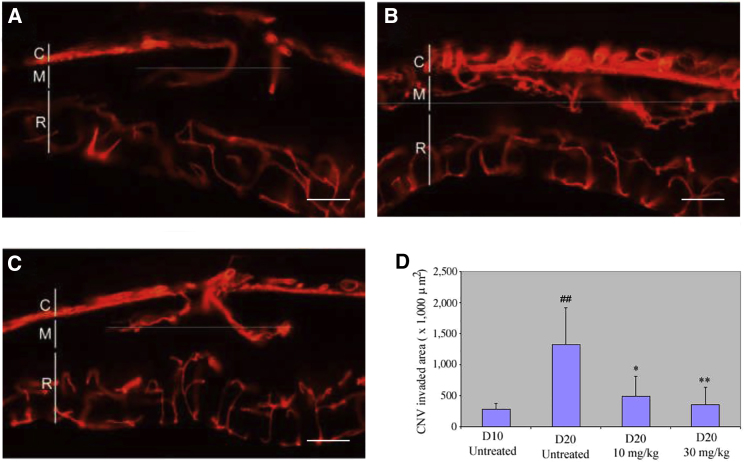 Figure 3