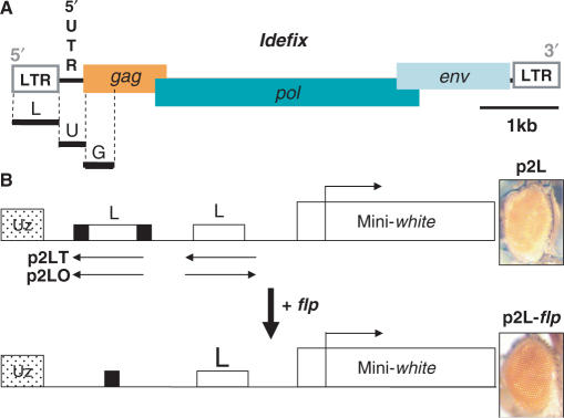 Figure 1.