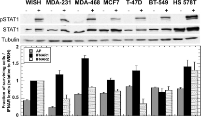 Fig. 9.