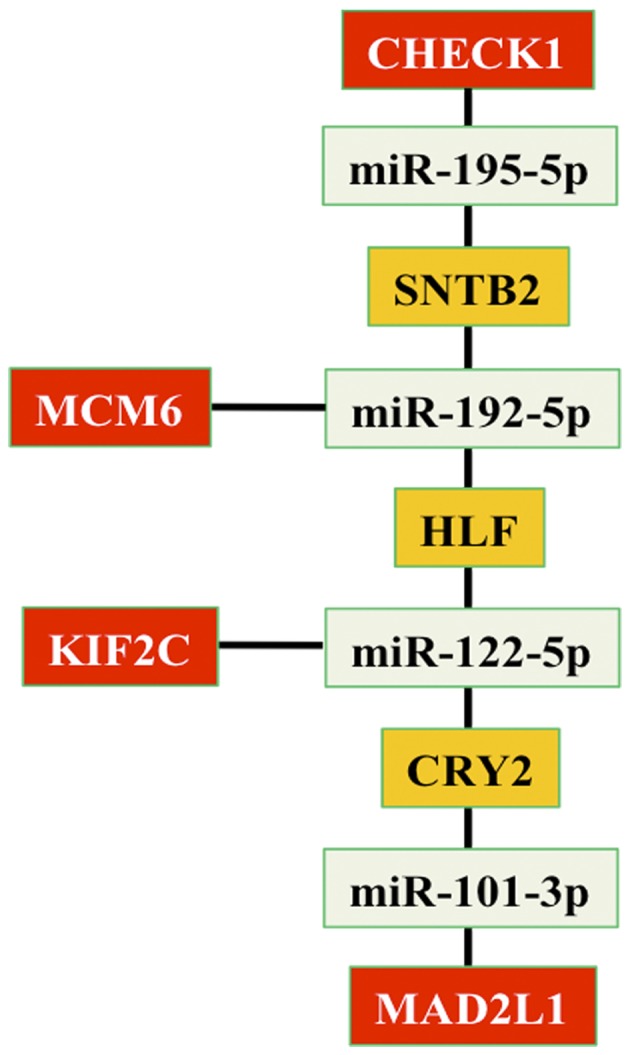 Figure 3.