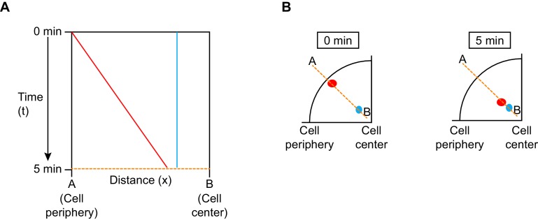 Figure 1—figure supplement 1.