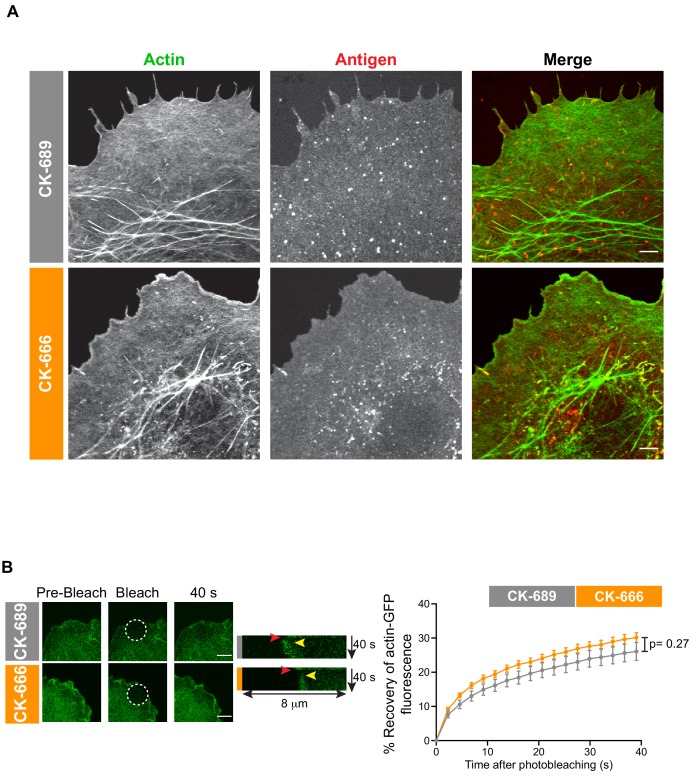 Figure 2—figure supplement 3.