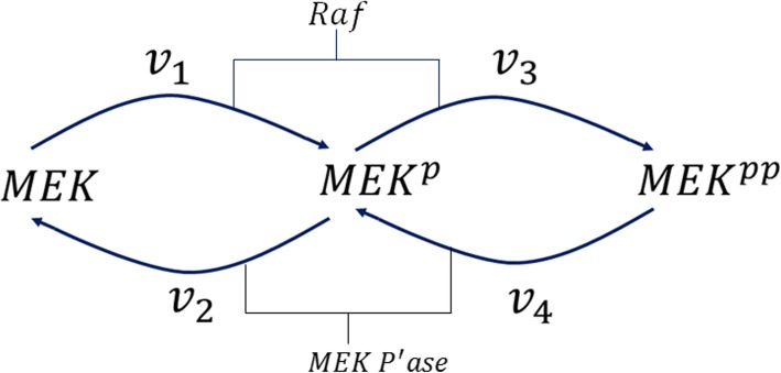 Fig. 12