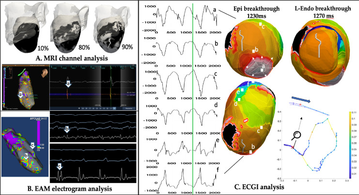 Figure 11:
