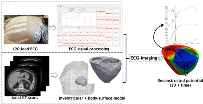 Figure 2: