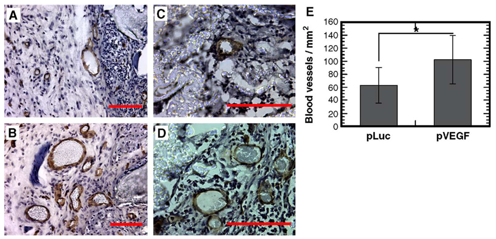 FIG. 7