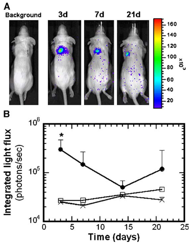 FIG. 3