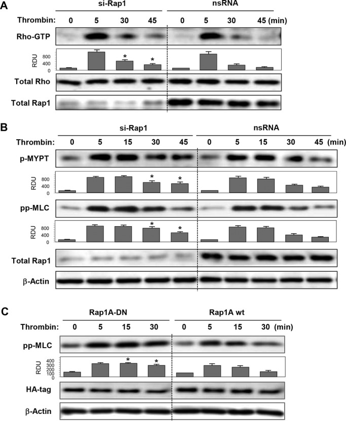 FIGURE 4: