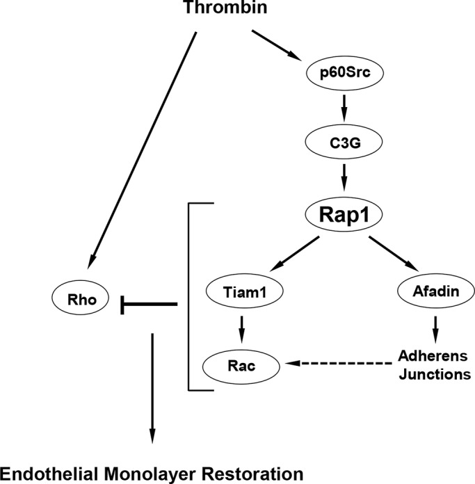 FIGURE 10: