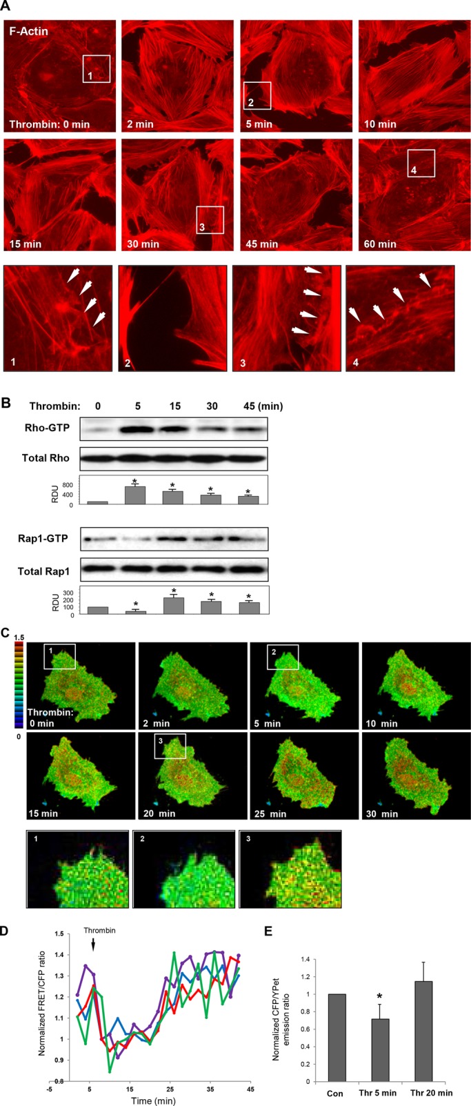 FIGURE 1: