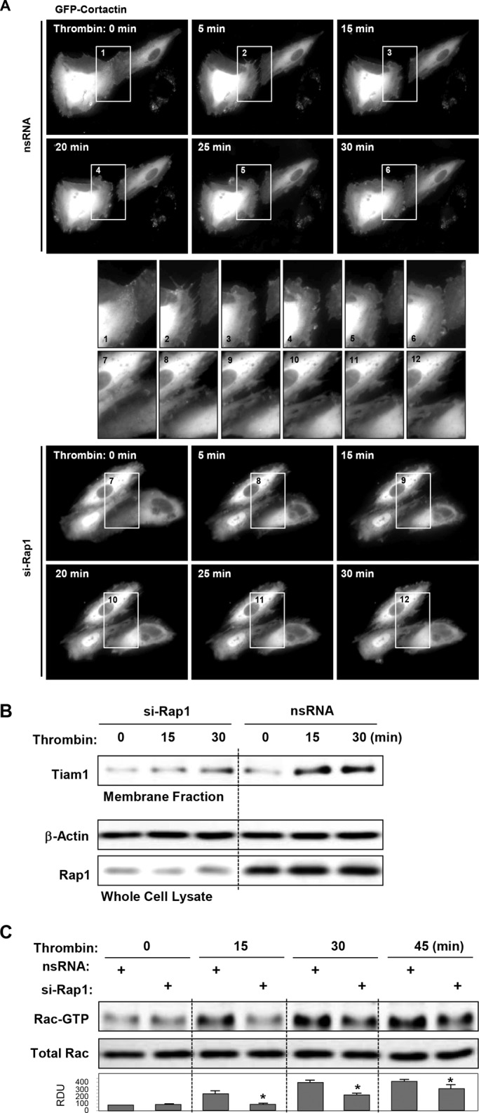 FIGURE 6: