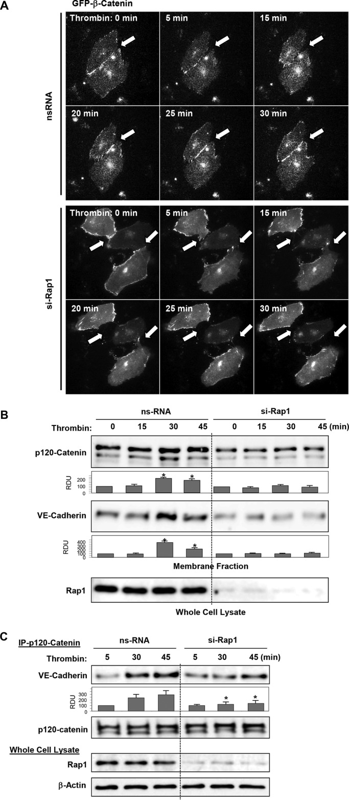 FIGURE 7: