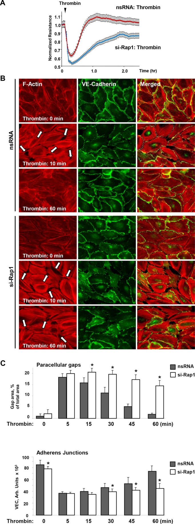 FIGURE 3: