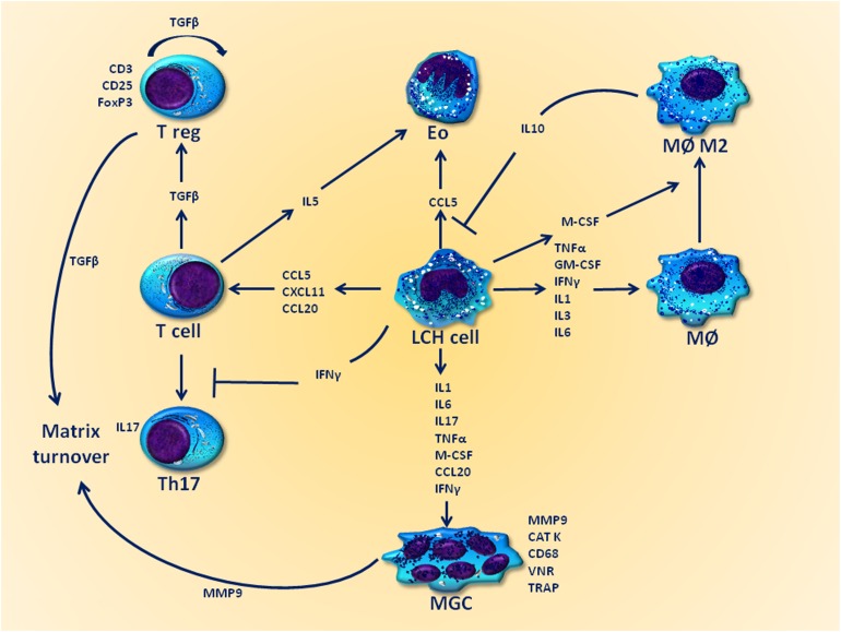 Figure 4.